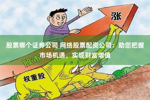 股票哪个证券公司 网络股票配资公司：助您把握市场机遇，实现财富增值