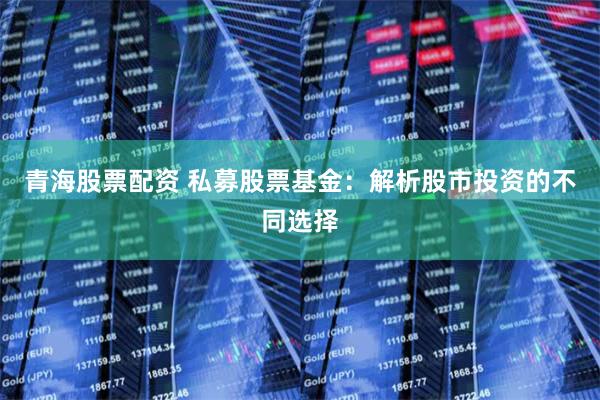 青海股票配资 私募股票基金：解析股市投资的不同选择